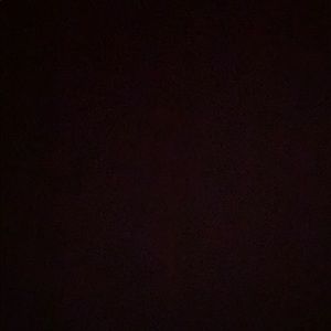 Meet your Posher, Elisa